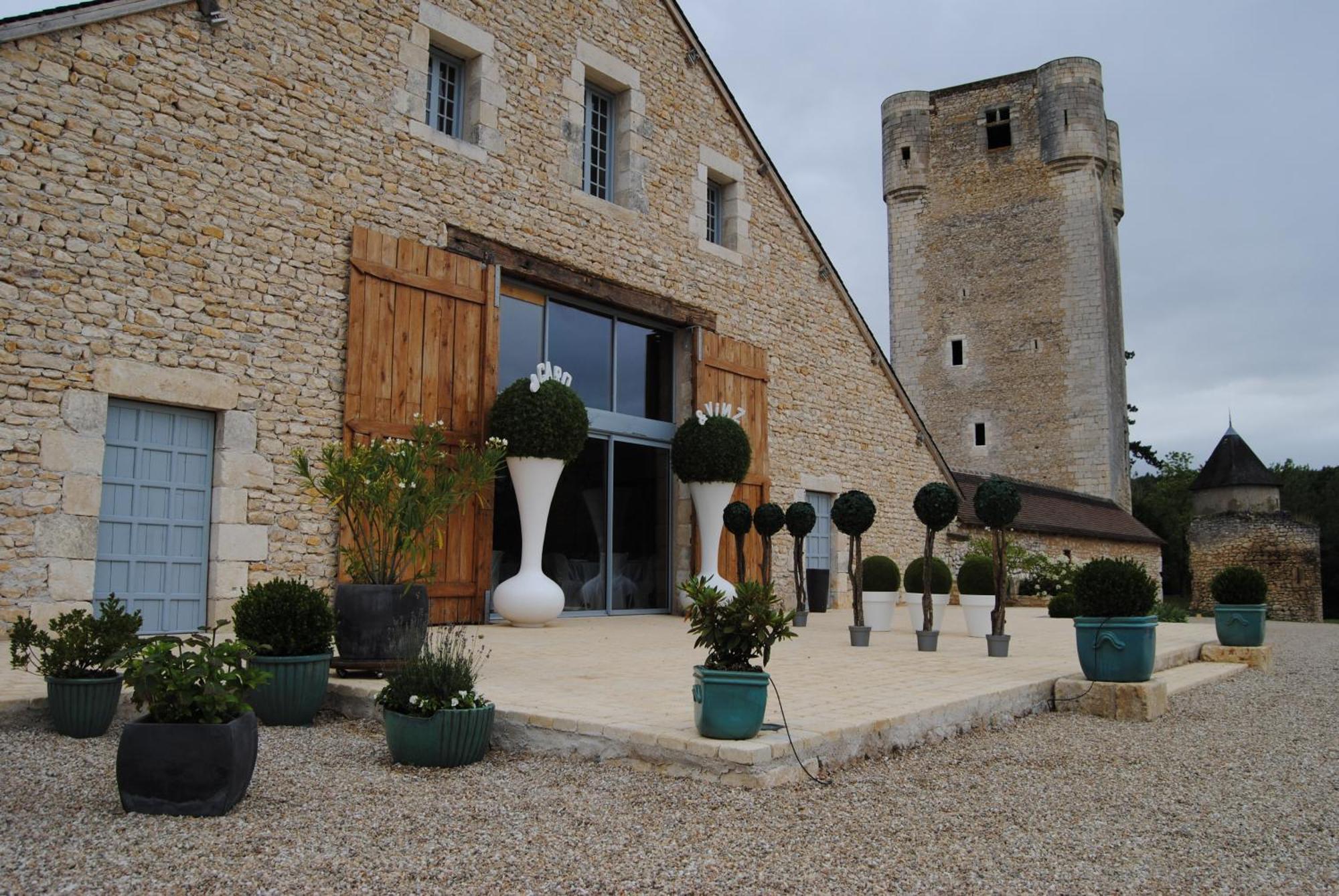 Chateau De Mazieres Tendu Exterior photo
